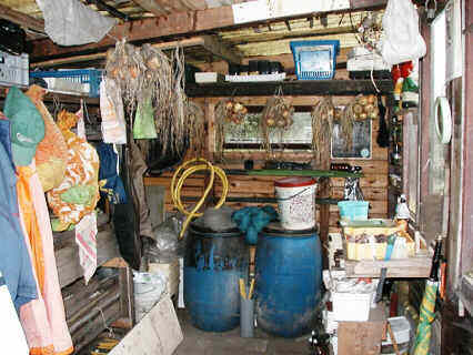 20060824_049Schuur