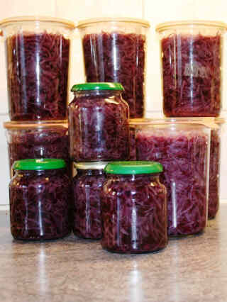 20061026-060RodeKool