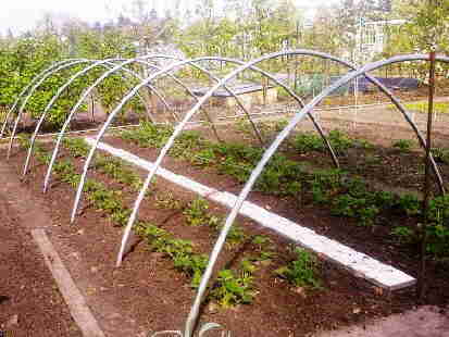 20090422_017Bogen