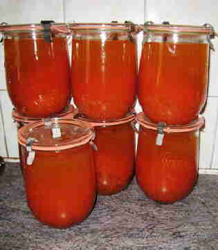 20090807_031Tomatensoep