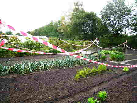 20101005 091_Videoband