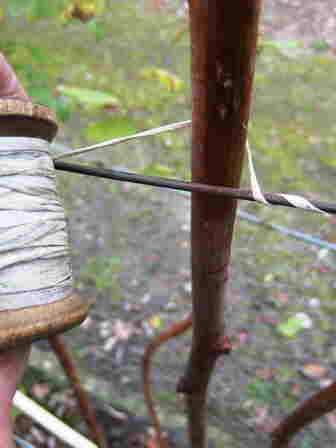 20101006 094a_FrambozenTouw