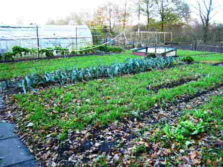 20101112 102_Winterklaar
