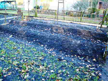 20101112 103_Aspergebedden