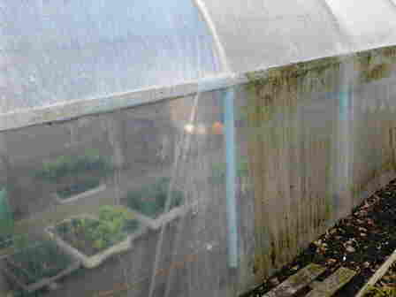 20110404_024_plantuitjes