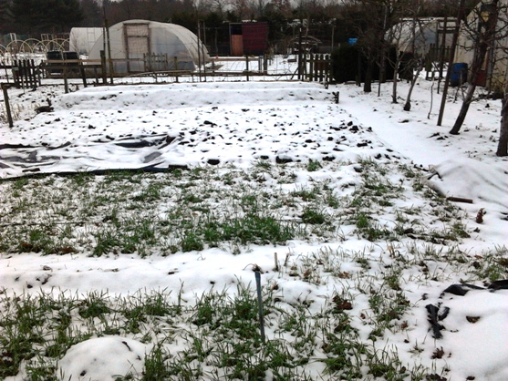 20130225 003 Sneeuw