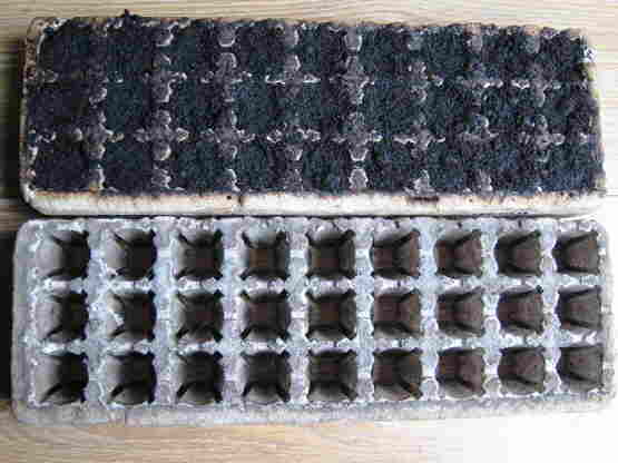 20130309 009 Pijpjes