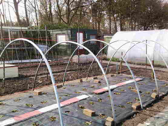 20140328 014 Aardbeienbogen
