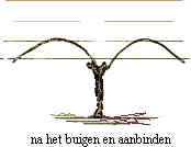 016Aanbinden