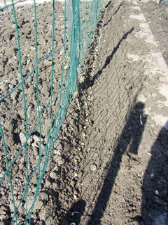 20090330ErwtenInGeul