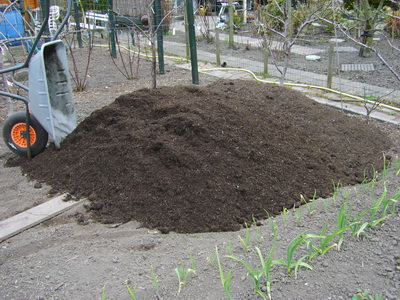20120330CompostTuin