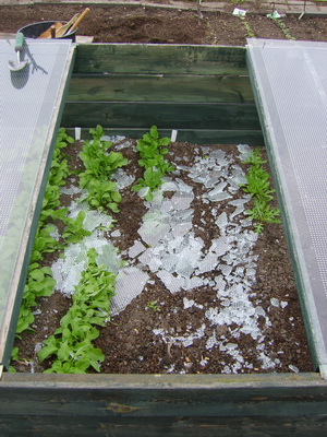 20120407Glasscherven