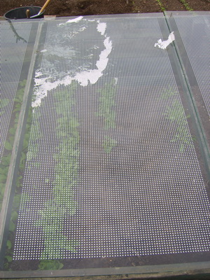 20120407NieuweAfdekruit