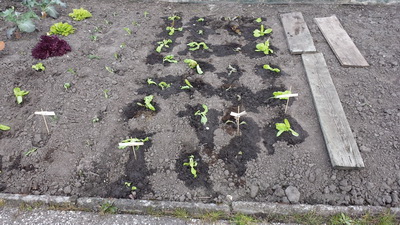 2014-04-13 15.13.43 SlaGeplant resize