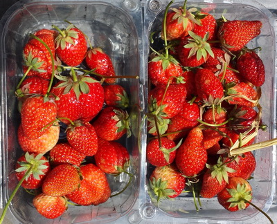 2014-05-17 13.22.02 Aardbeien resize